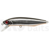 Pontoon21 Dexter Minnow